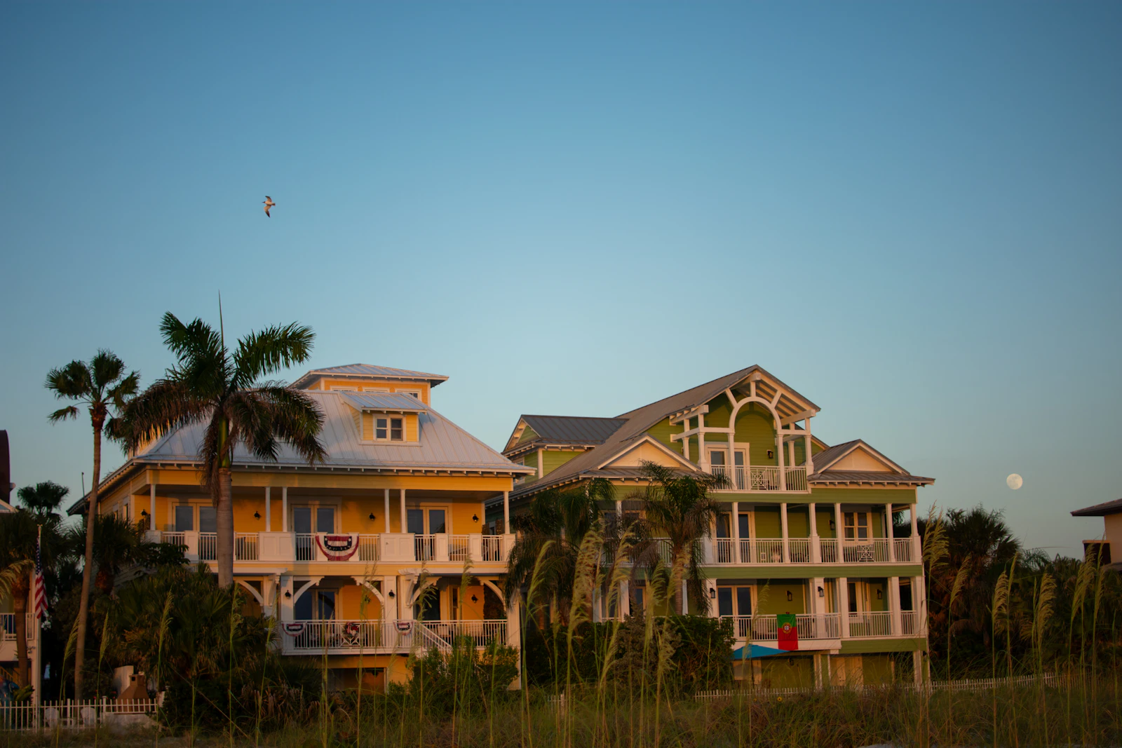 Clearwater, Florida photo 13 by Juliana Uribbe