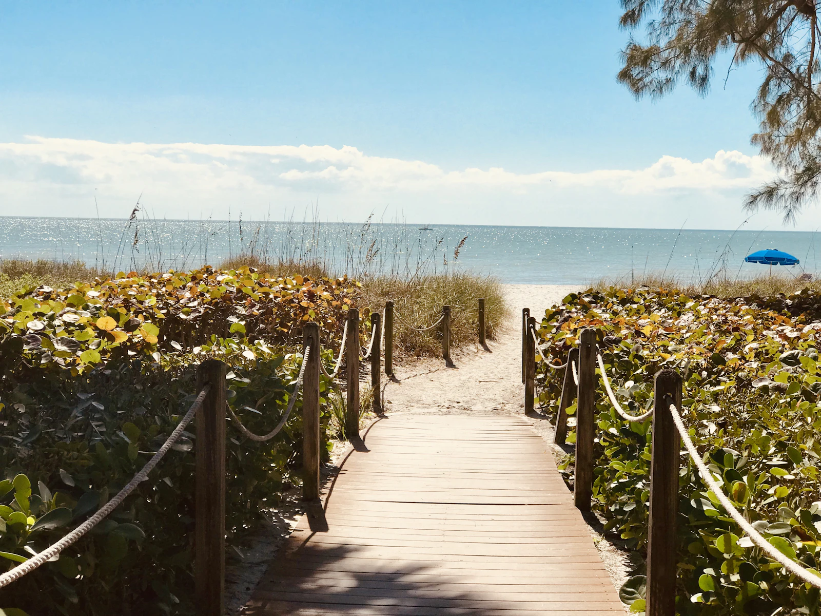 Cocoa Beach, Florida photo 4 by Melissa