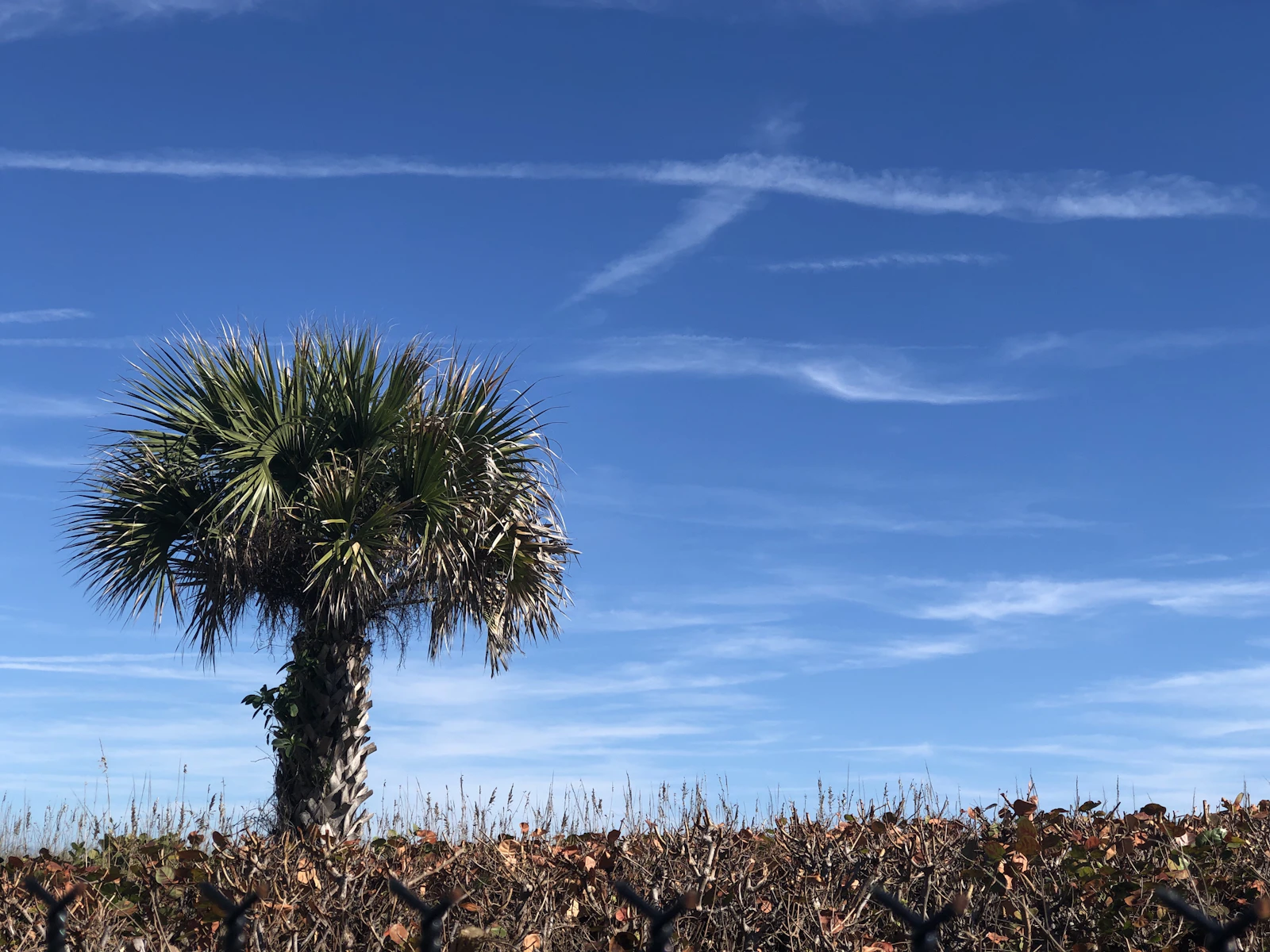 Cocoa Beach, Florida photo 27 by ryan haft