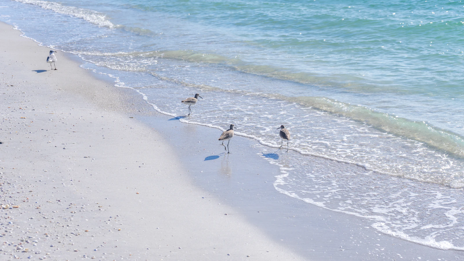 Cocoa Beach, Florida photo 23 by Yuhan Du