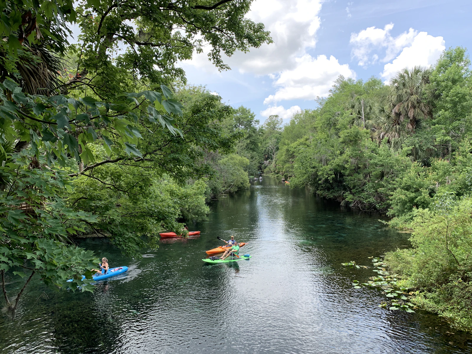 Crystal River, Florida photo 4 by Eric Tompkins