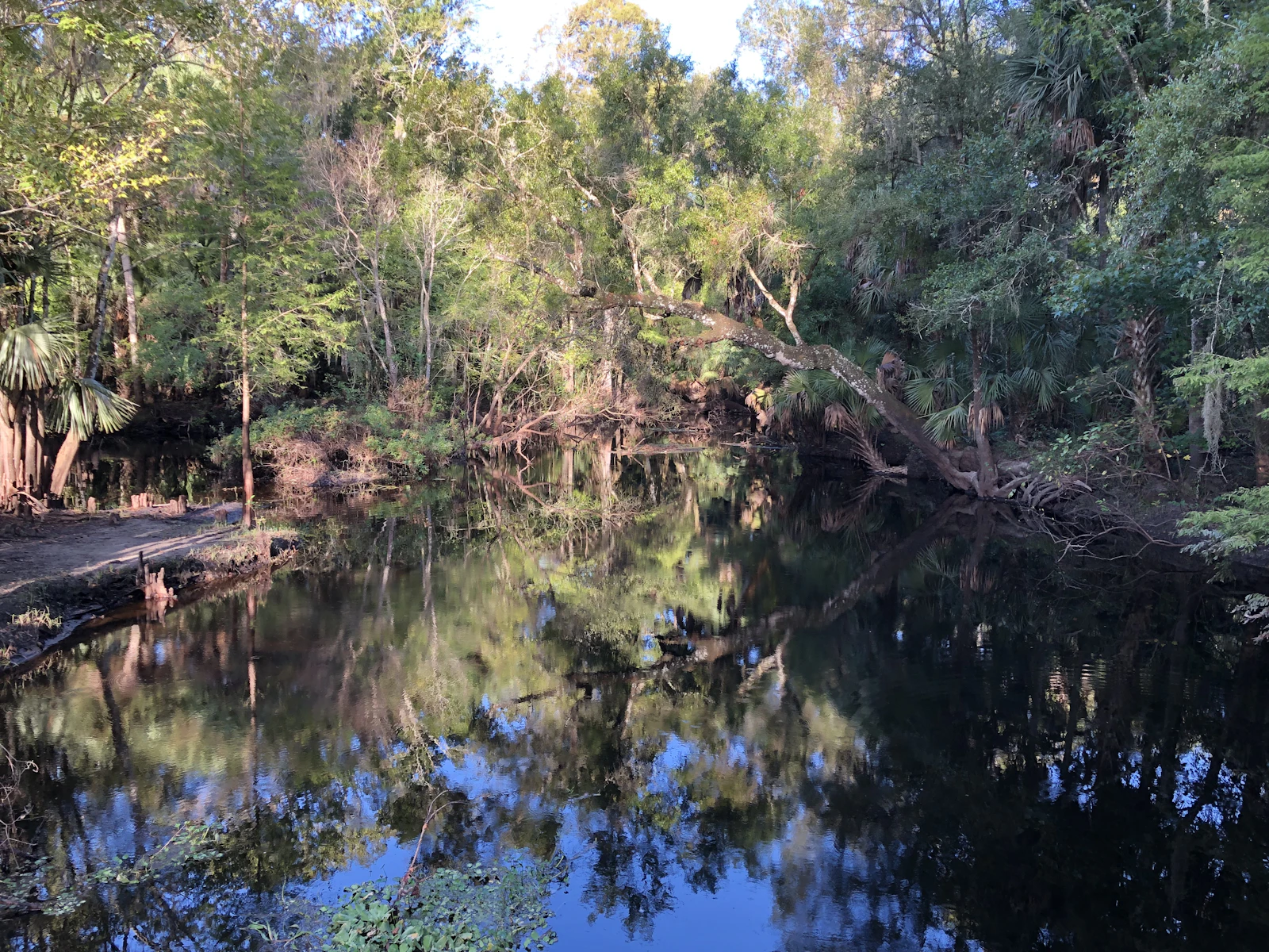Crystal River, Florida photo 12 by Jessica Camacho
