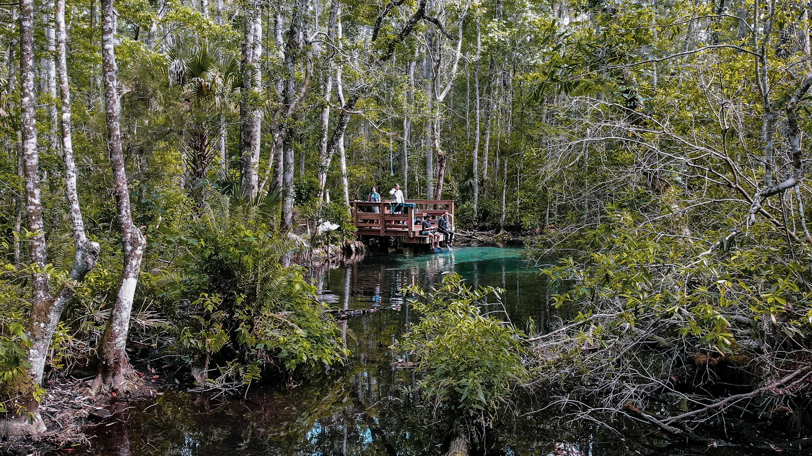 Crystal River, Florida photo 24 by Daniel Lara