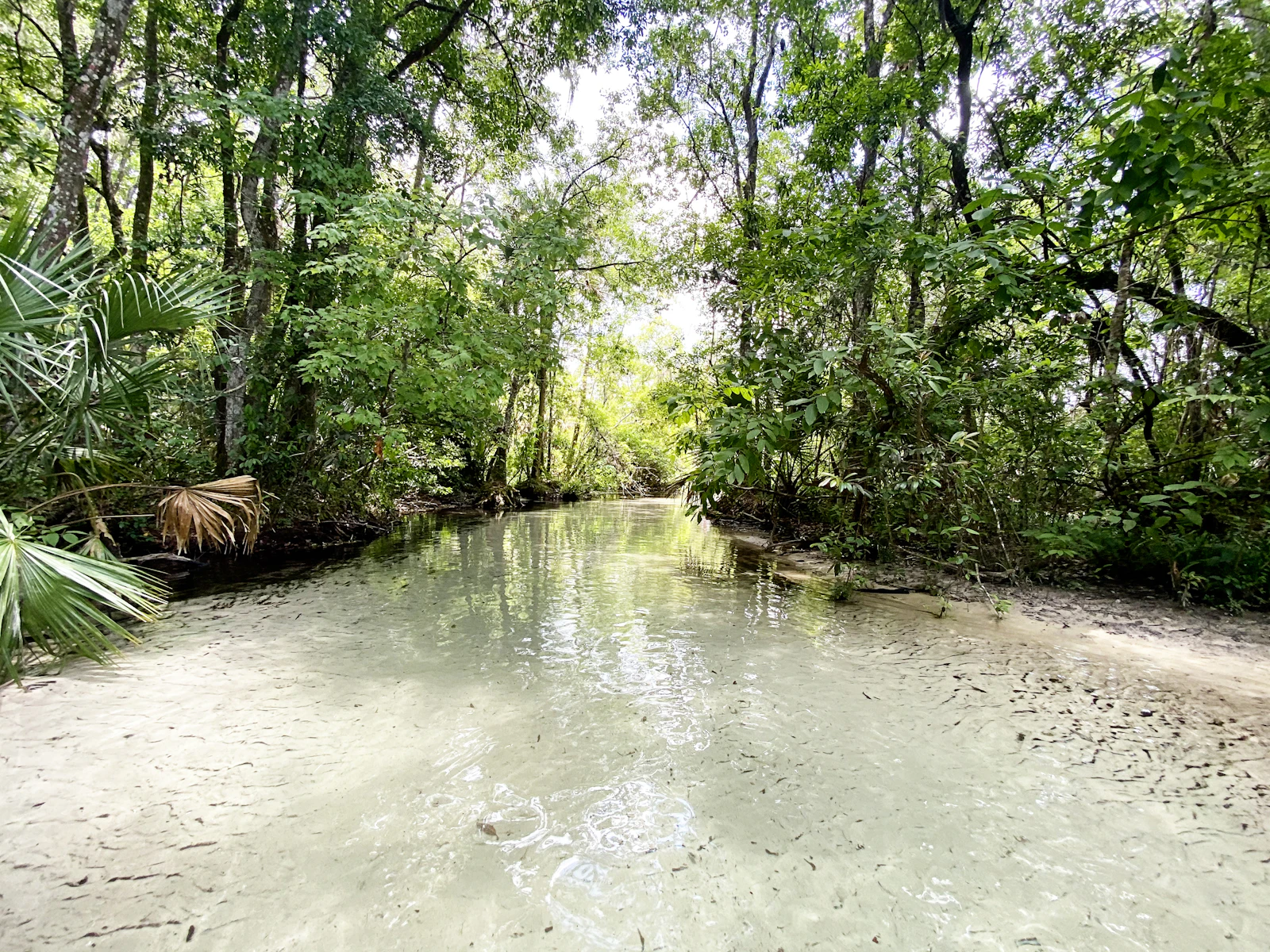 Crystal River, Florida photo 3 by Jacksonville Beach Moms