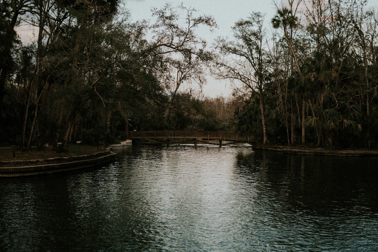 Crystal River, Florida photo 18 by Cody Board