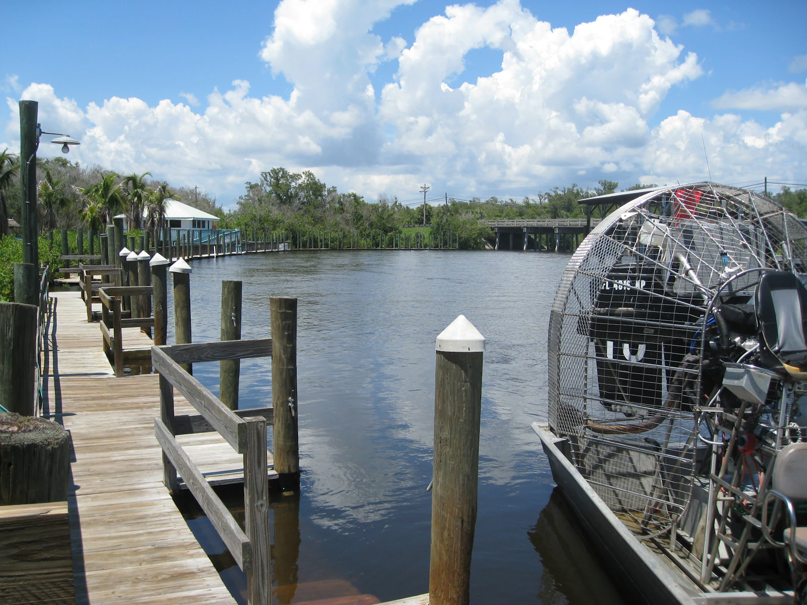 Crystal River, Florida photo 10 by Erdem Tekiner