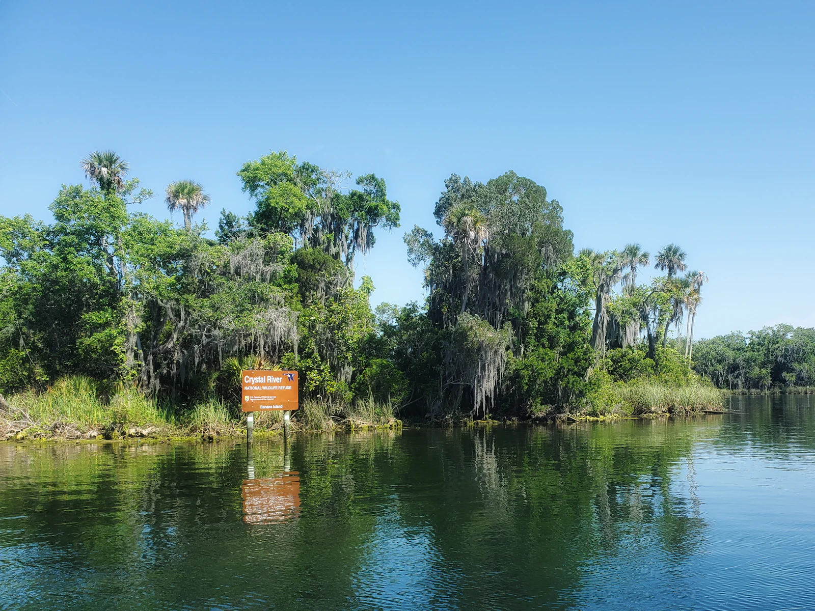 Crystal River, Florida photo 1 by Casey Lovegrove