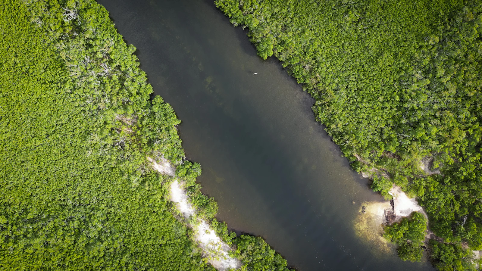 Crystal River, Florida photo 28 by Julius Hildebrandt