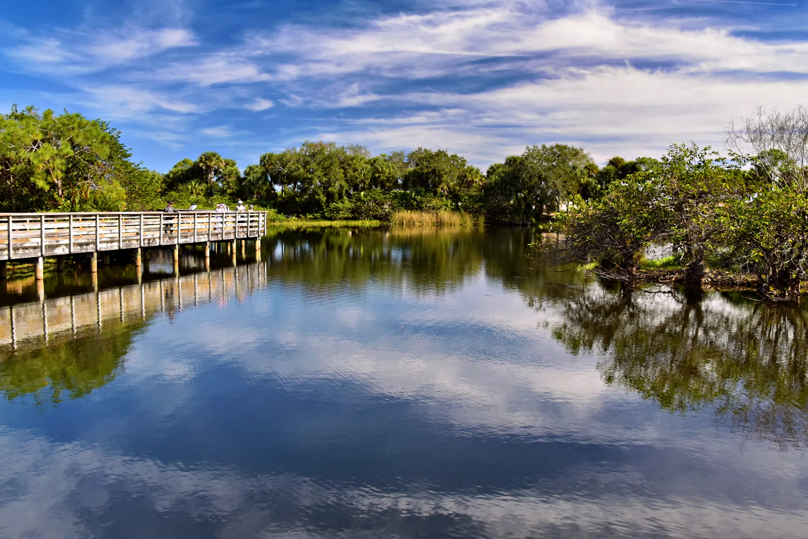 Crystal River, Florida photo 15 by Jeffrey Eisen
