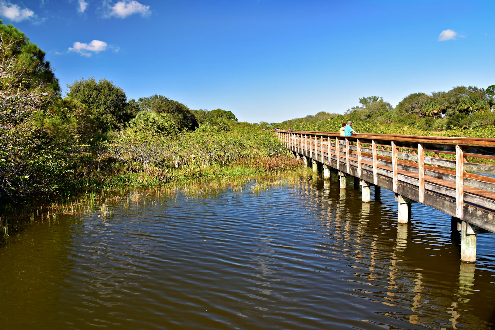 Crystal River, Florida photo 19 by Jeffrey Eisen