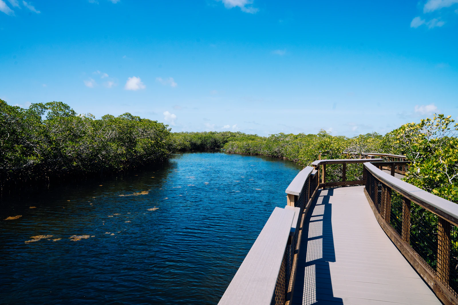 Crystal River, Florida photo 26 by Sebastian Jacobsen