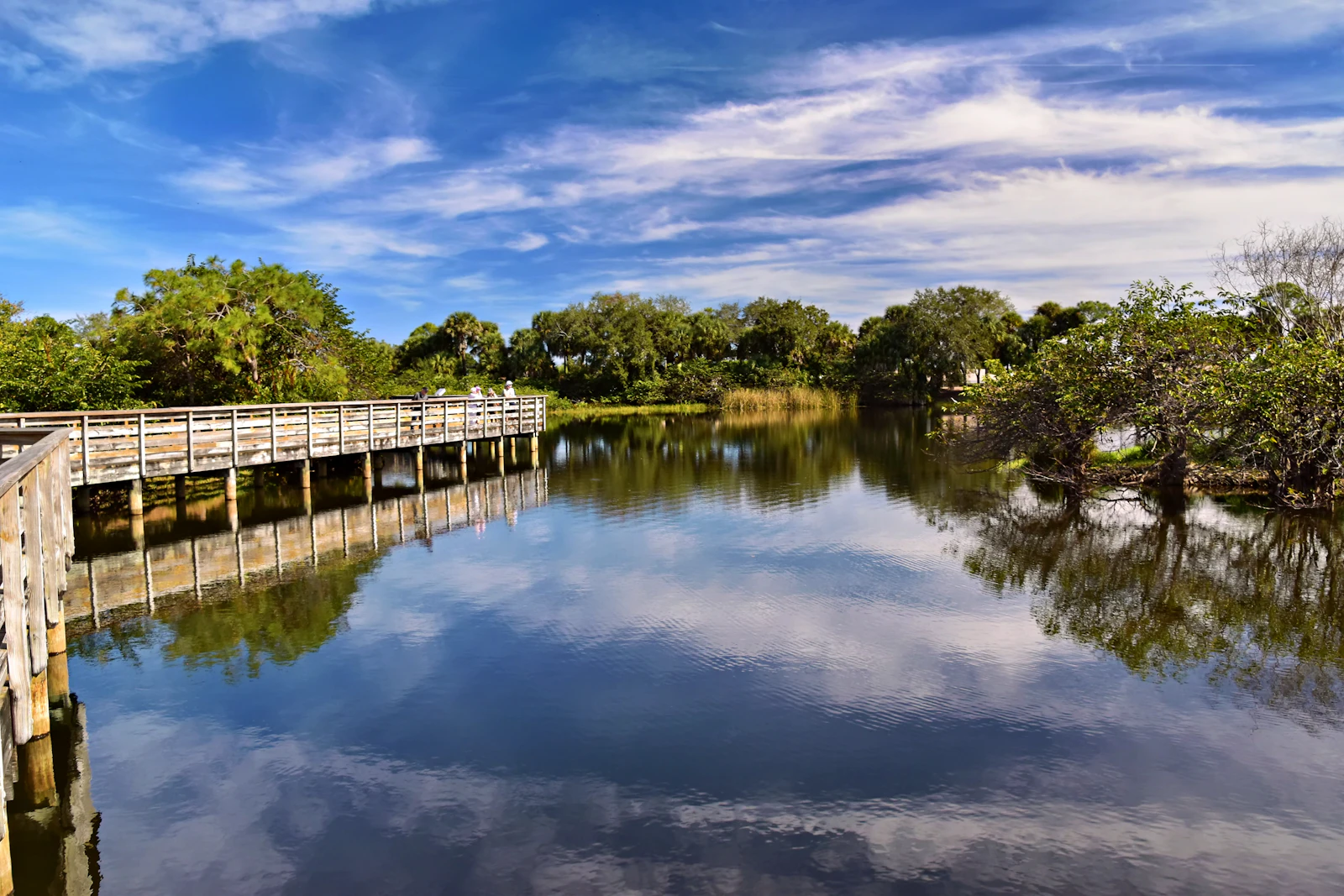 Crystal River, Florida photo 20 by Jeffrey Eisen