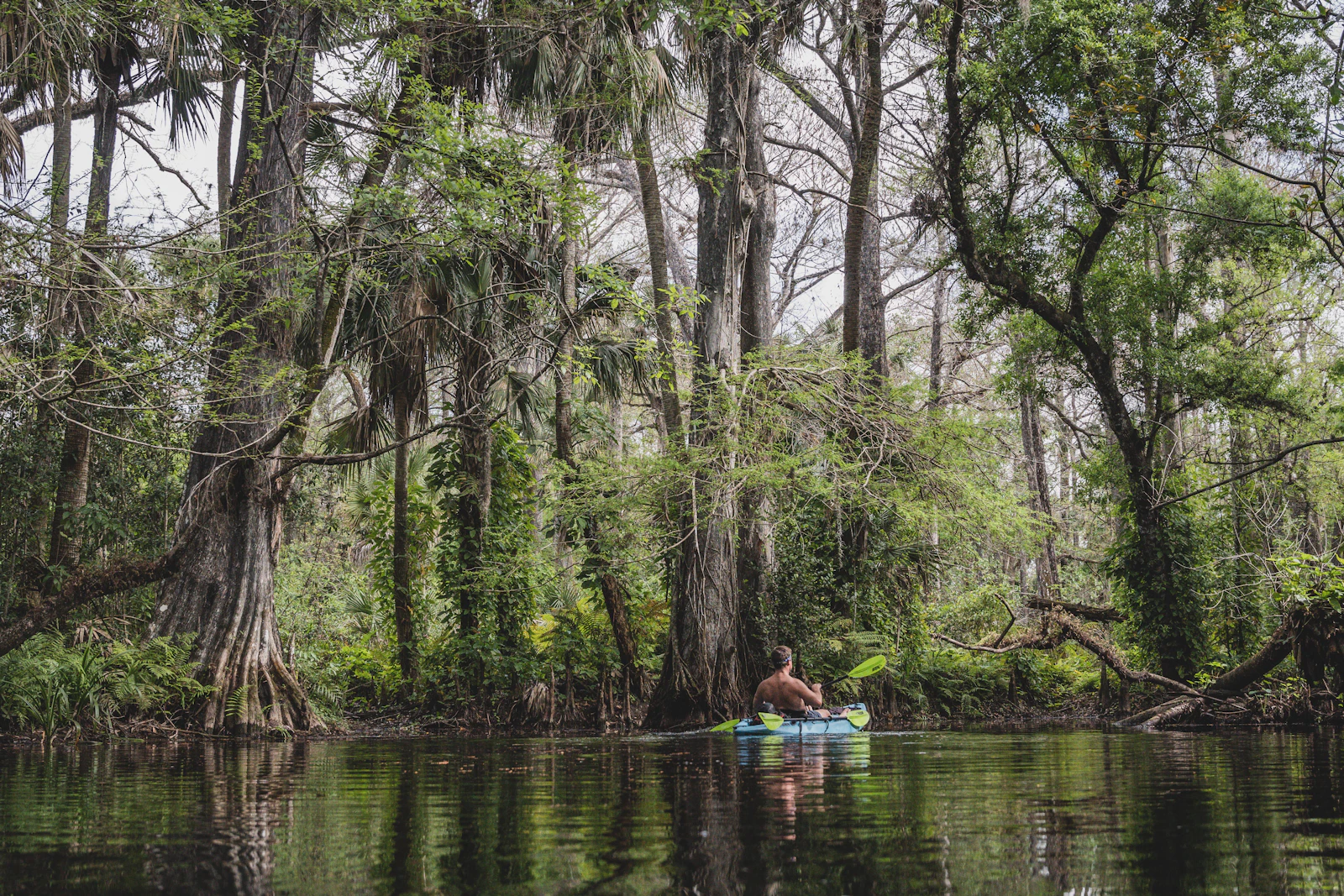 Crystal River, Florida photo 25 by Chase Baker