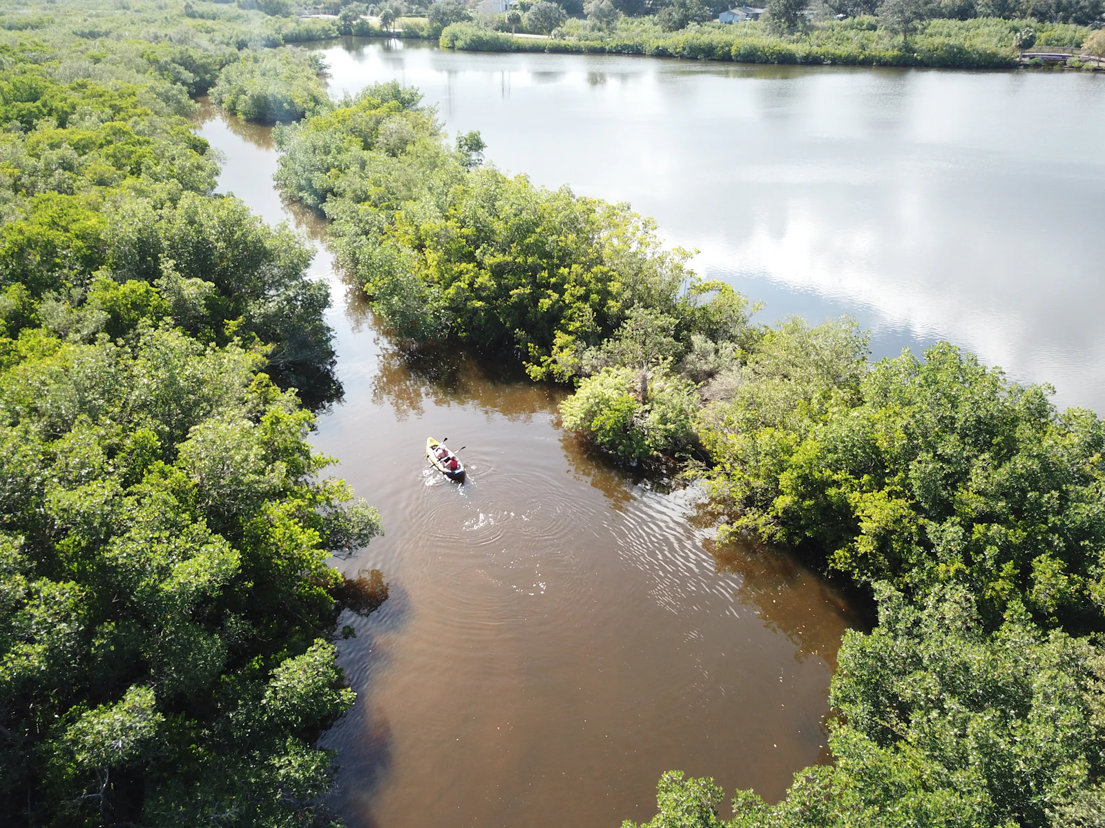 Crystal River, Florida photo 27 by Anita Denunzio