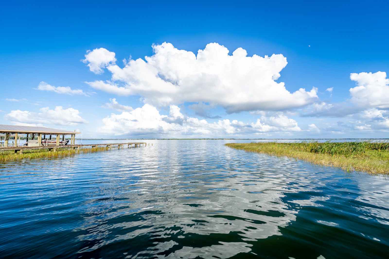 Crystal River, Florida photo 21 by Rostyslav Sipakov