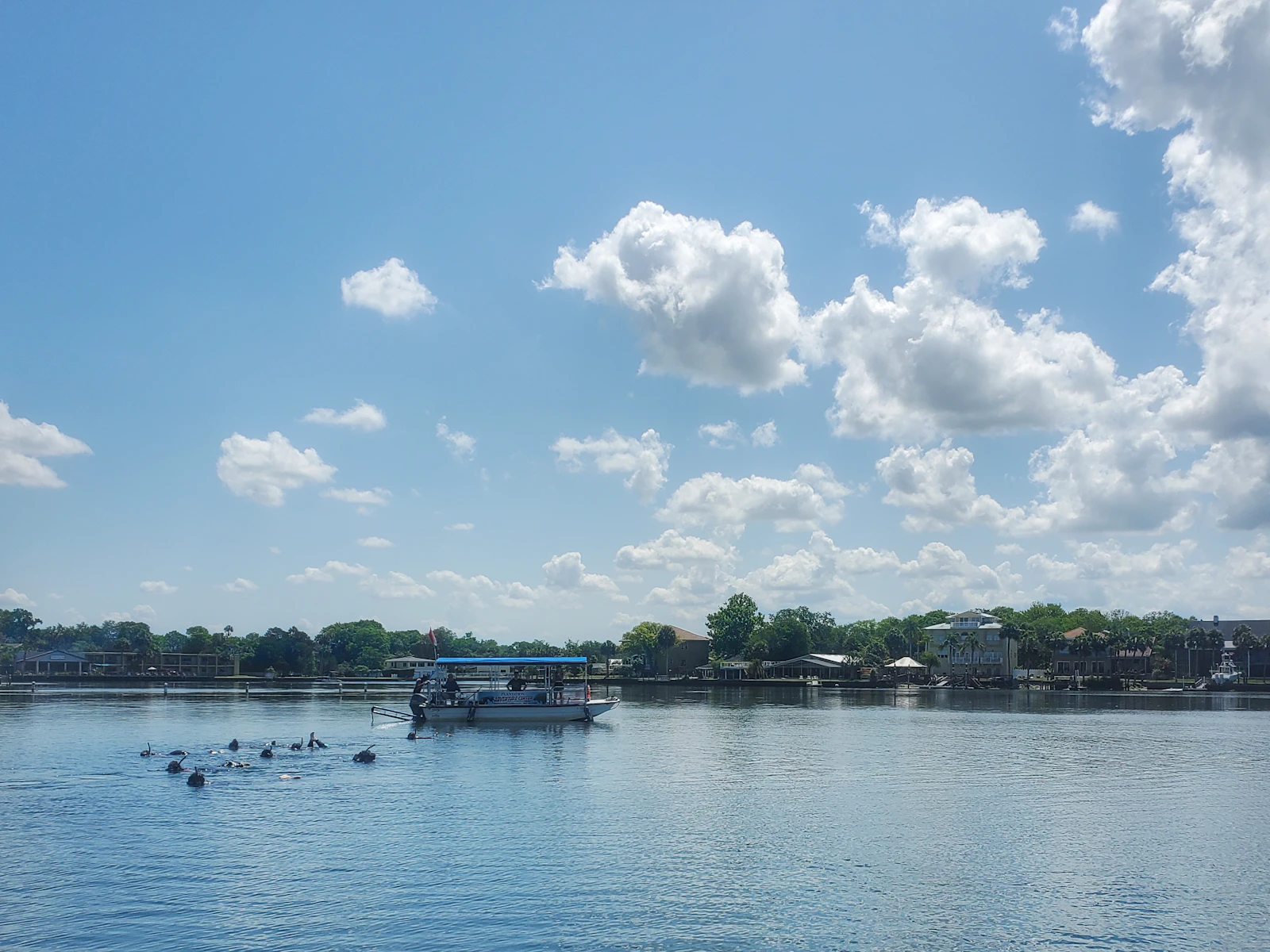 Crystal River, Florida photo 7 by Casey Lovegrove