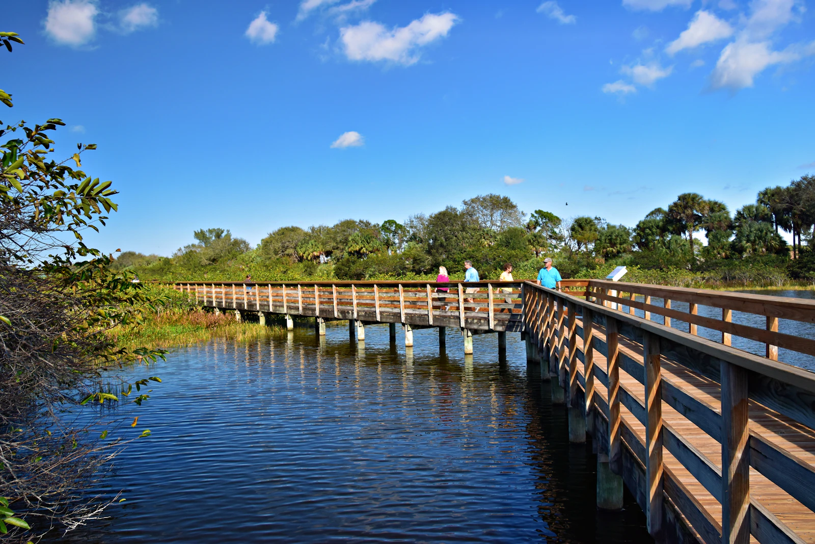 Crystal River, Florida photo 30 by Jeffrey Eisen