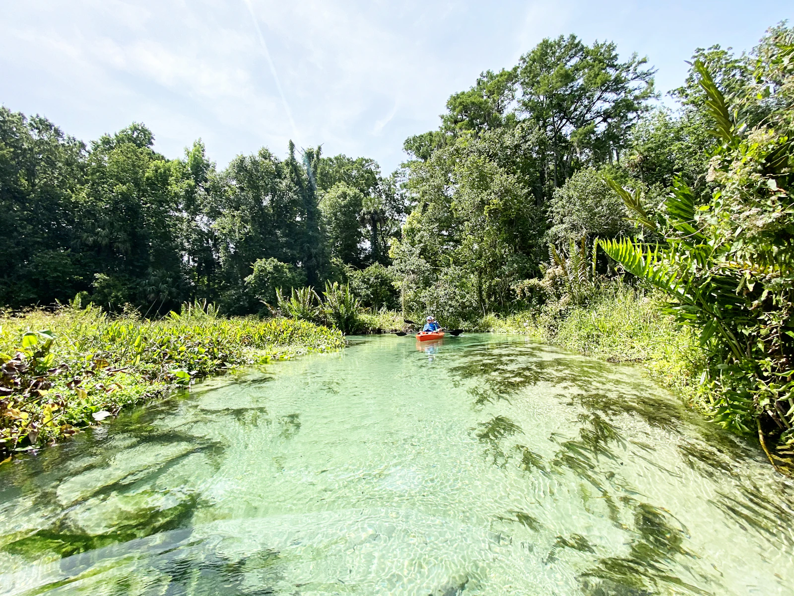 Crystal River, Florida photo 2 by Jacksonville Beach Moms