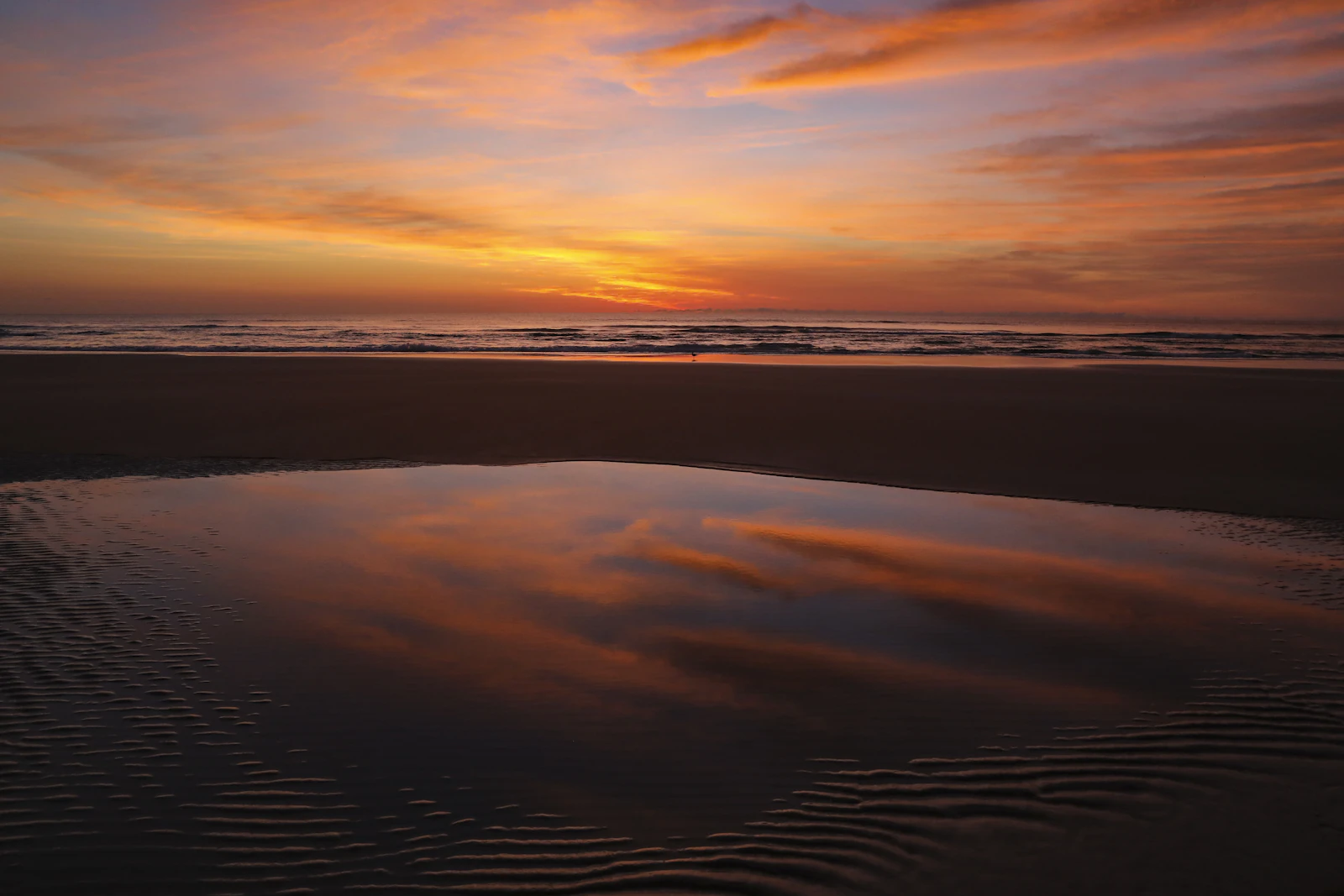 Daytona Beach, Florida photo 26 by Mick Haupt