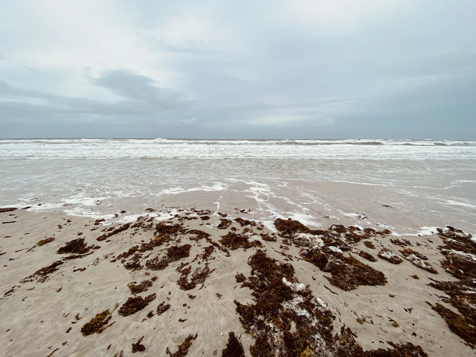 Daytona Beach, Florida photo 16 by Lesia