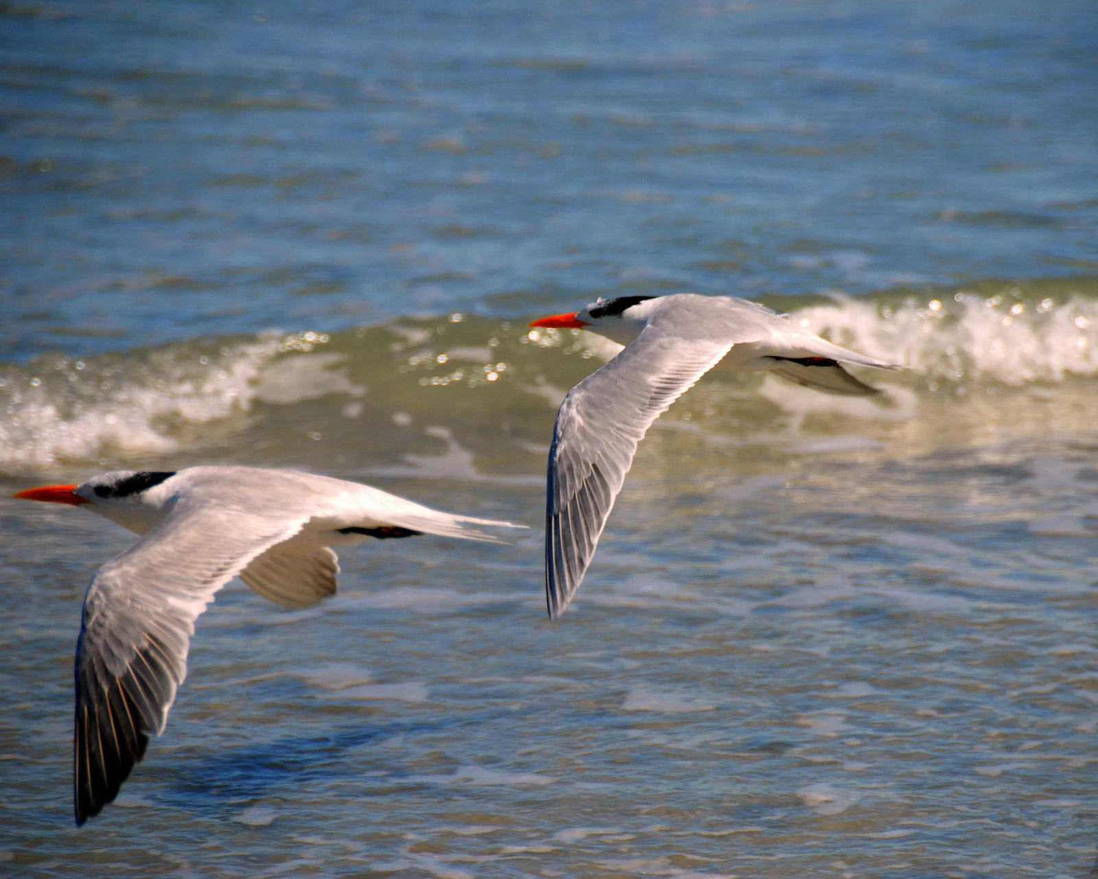 Daytona Beach, Florida photo 19 by ridge