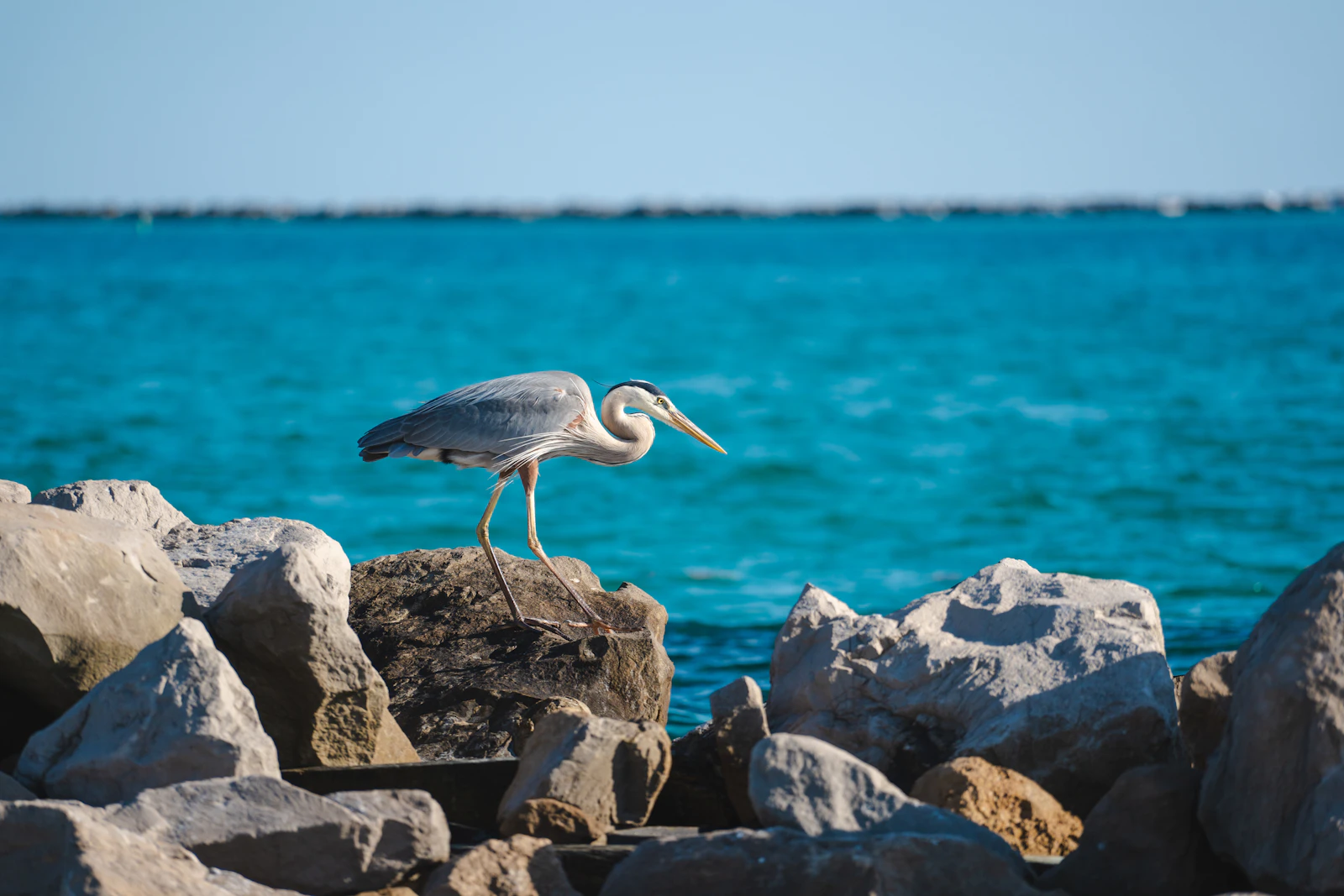 Destin, Florida photo 22 by Jake Hill