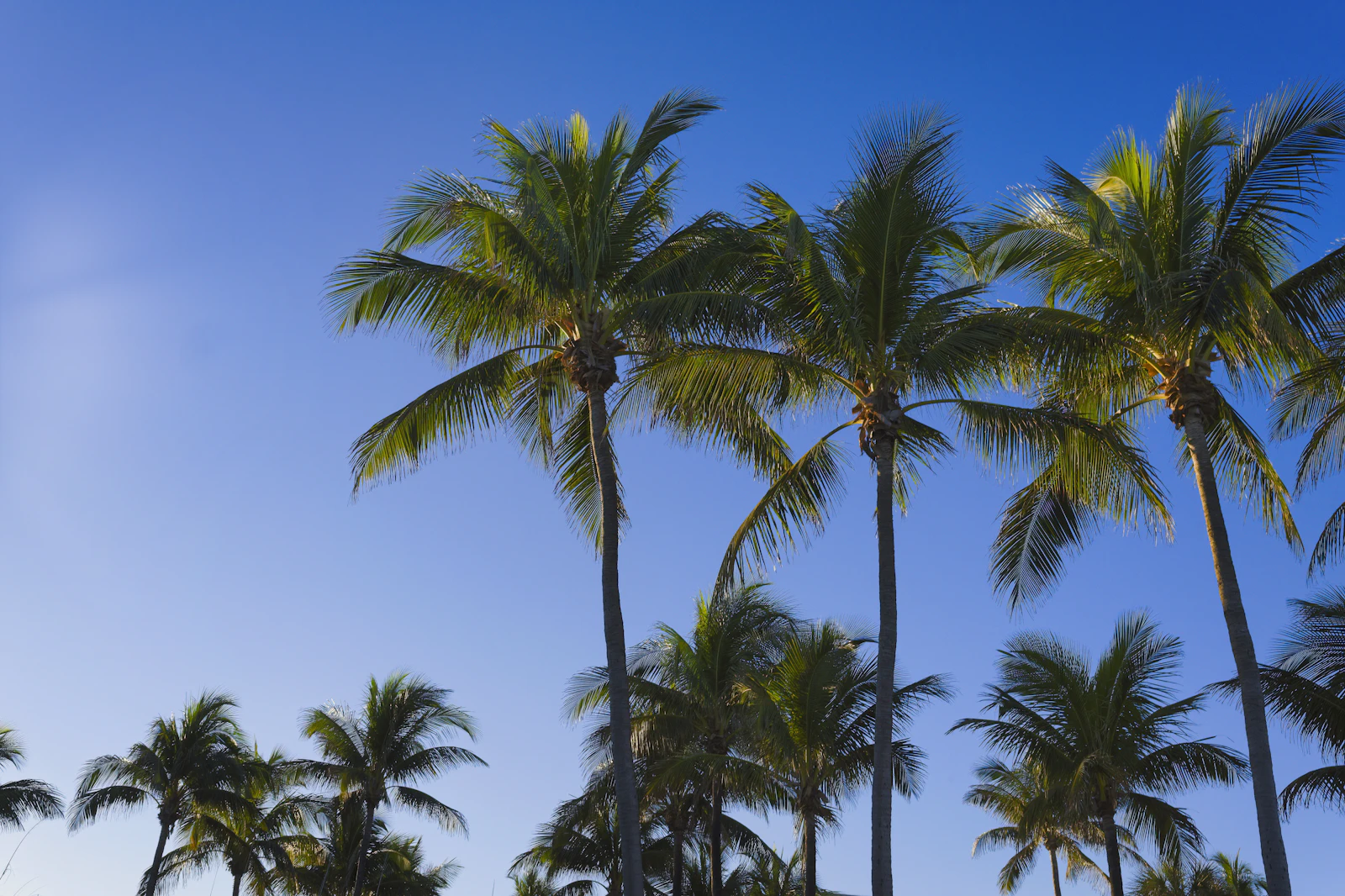 Fort Lauderdale, Florida photo 17 by Eric Prouzet