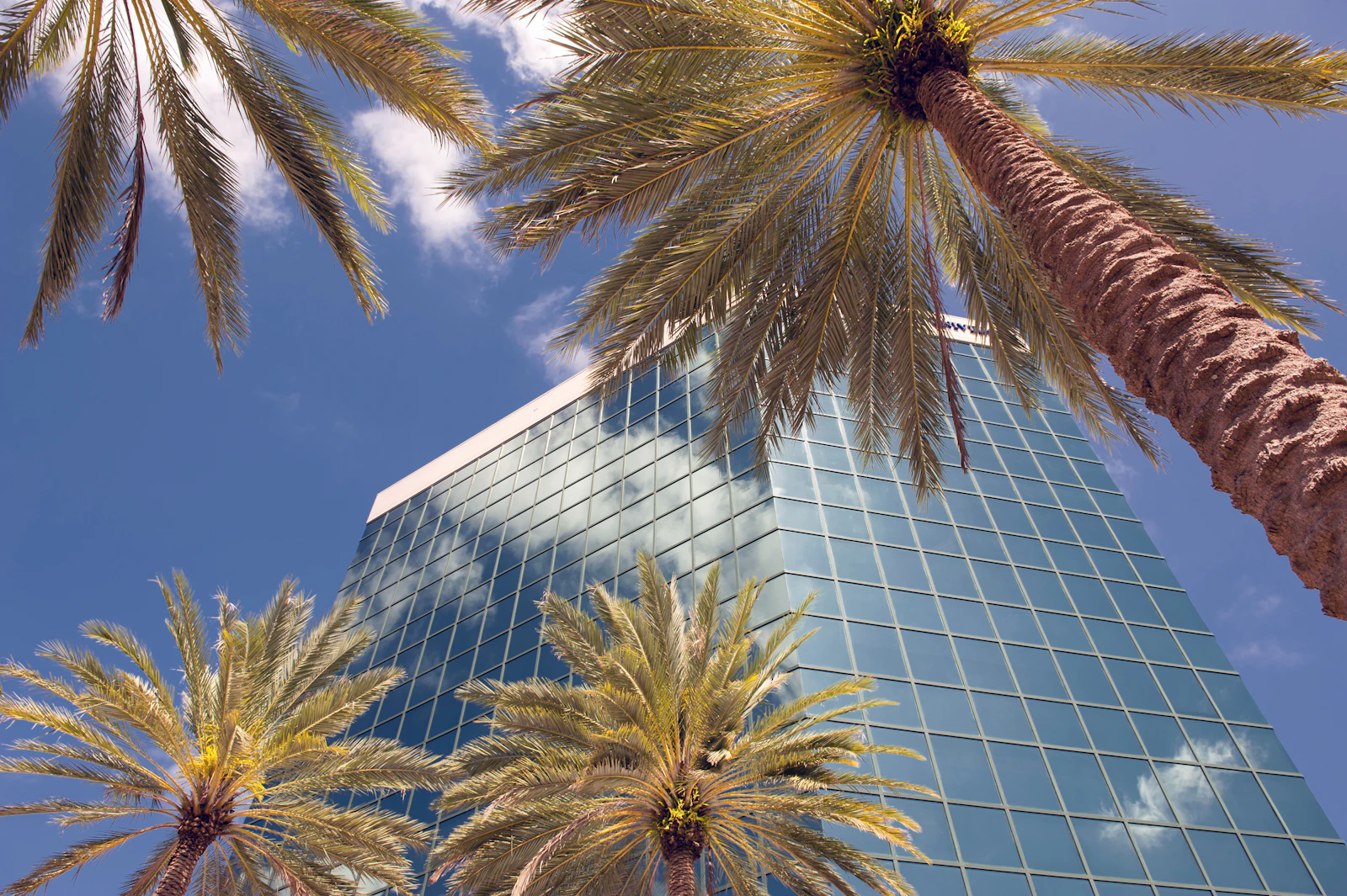 Fort Lauderdale, Florida photo 15 by Greg Bulla