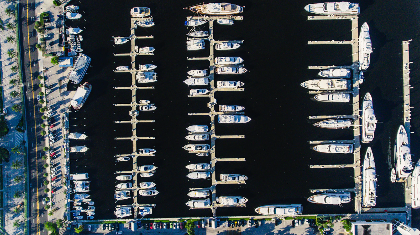 Fort Lauderdale, Florida photo 9 by Lance Asper