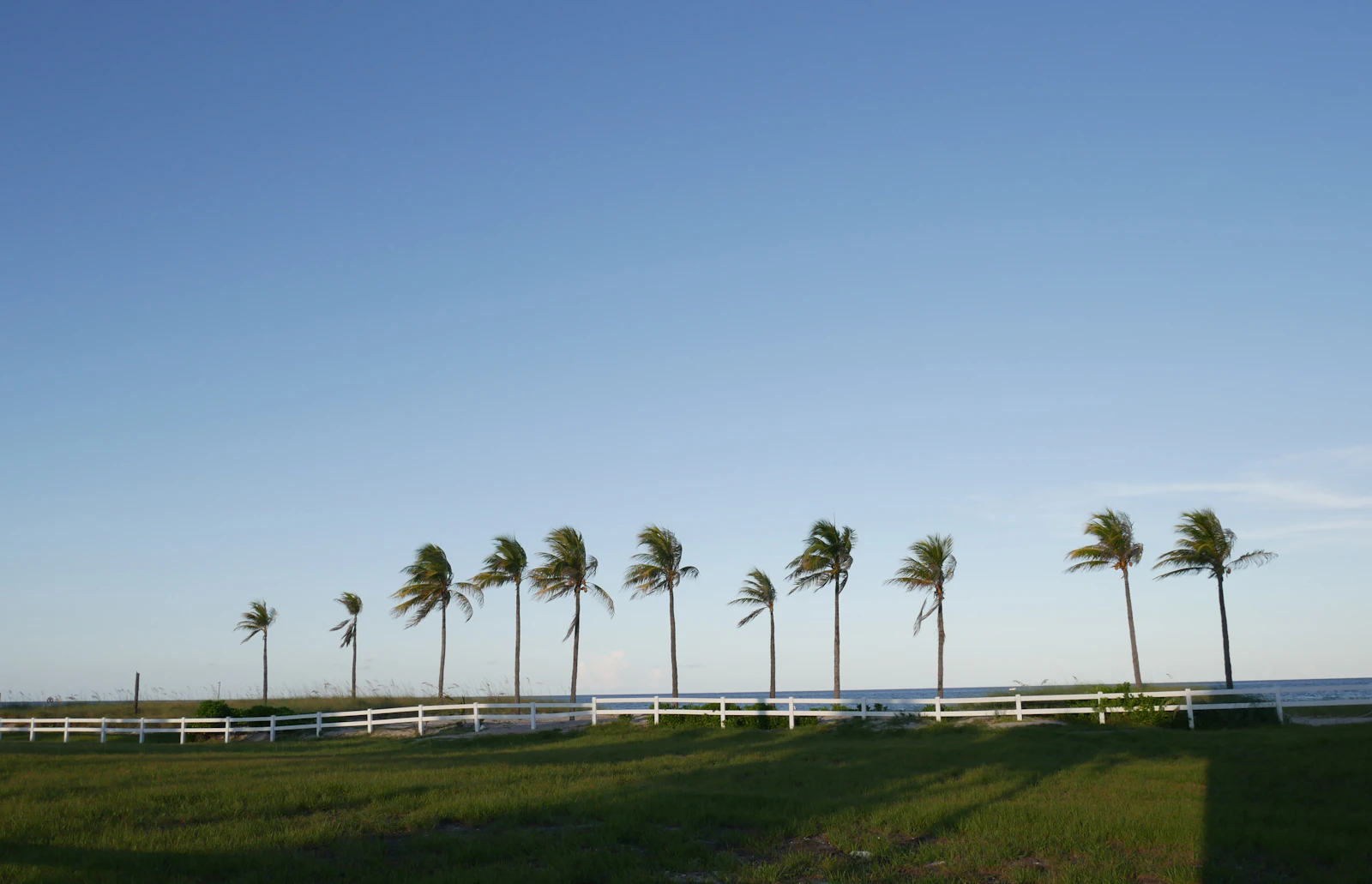 Fort Lauderdale, Florida photo 29 by Kateryna T