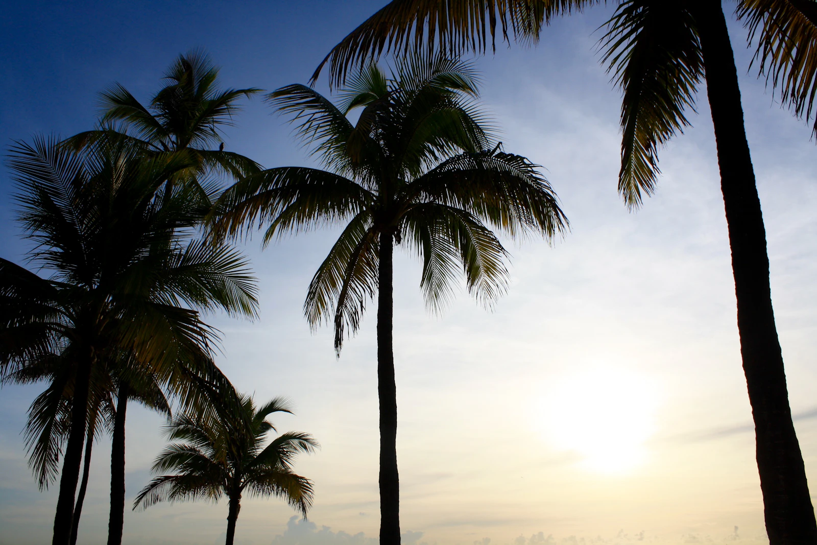 Fort Lauderdale, Florida photo 25 by Barefoot Beach Designs