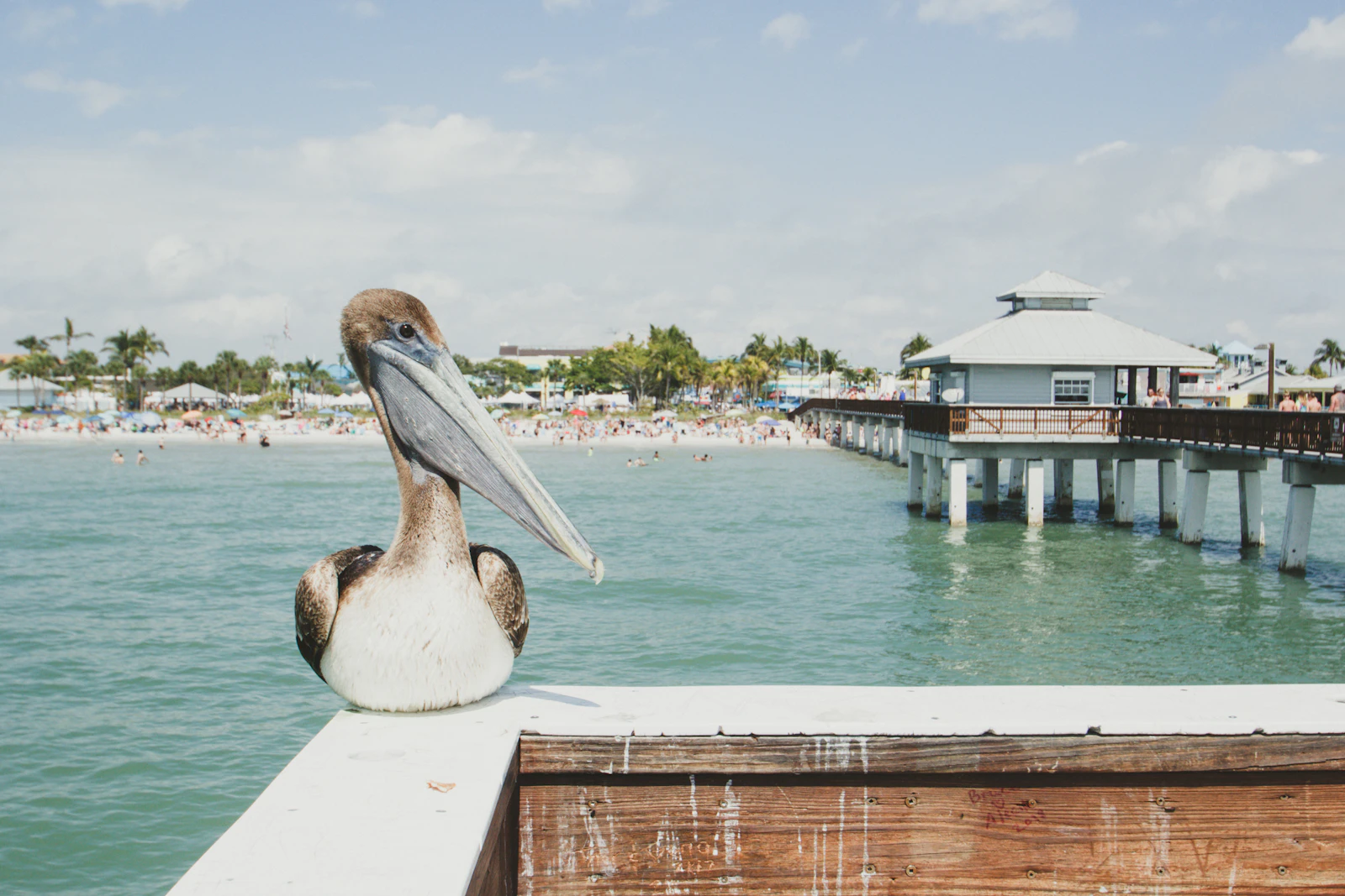 Fort Myers, Florida photo 12 by Taryn Manning