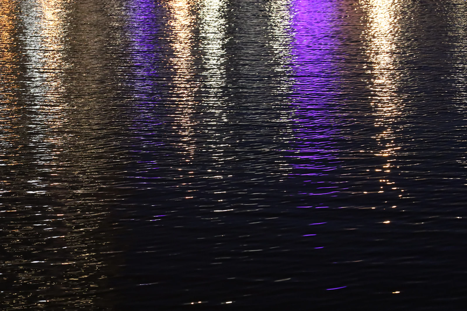 Fort Myers, Florida photo 19 by Kiran Naidu