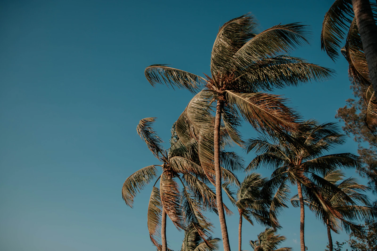 Islamorada, Florida photo 8 by Justine Canlas