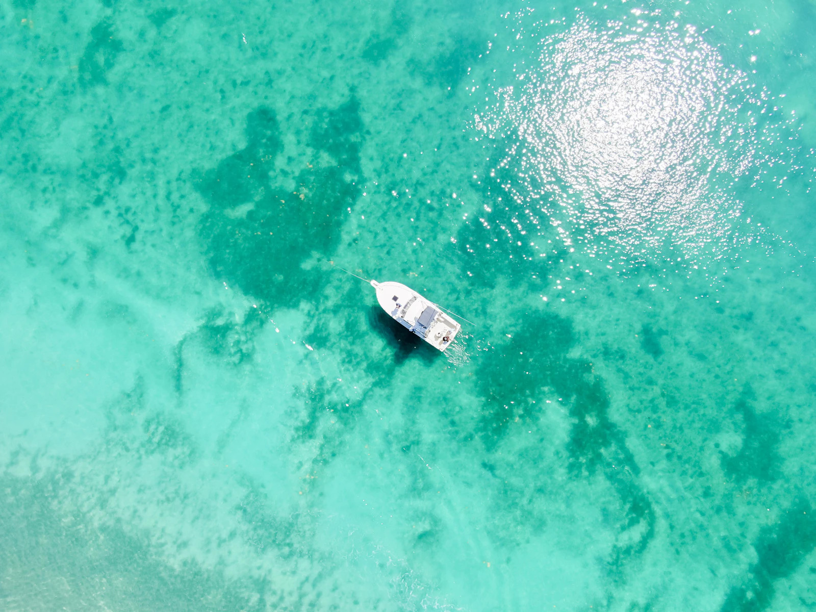 Islamorada, Florida photo 4 by Matthew McBrayer