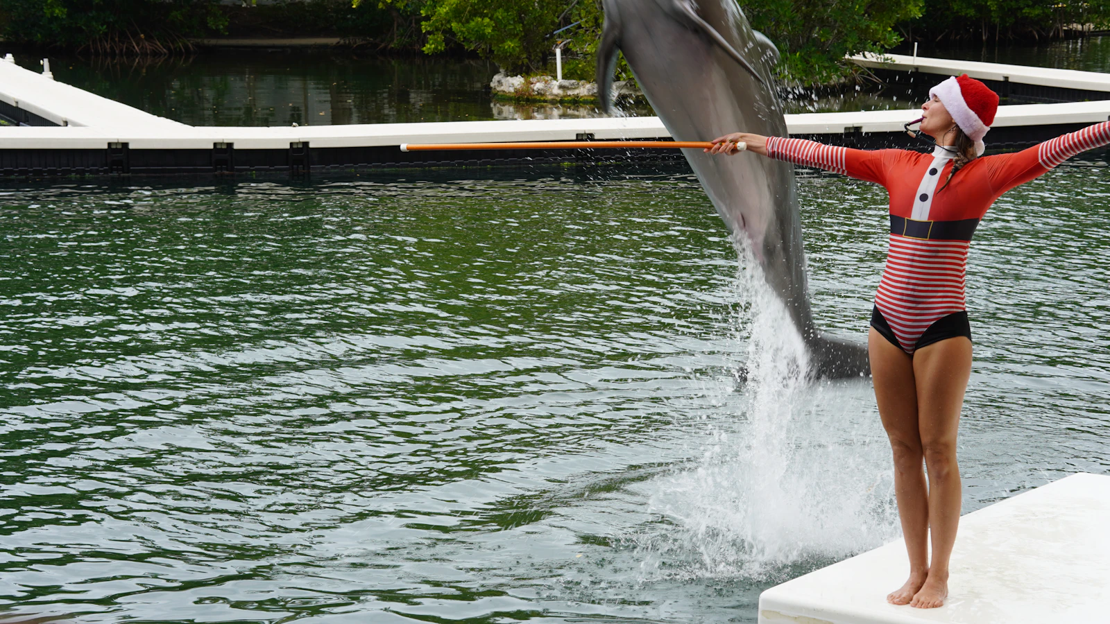 Islamorada, Florida photo 11 by Yansi Keim
