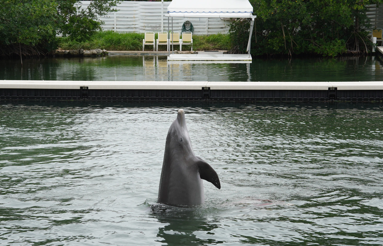 Islamorada, Florida photo 10 by Yansi Keim