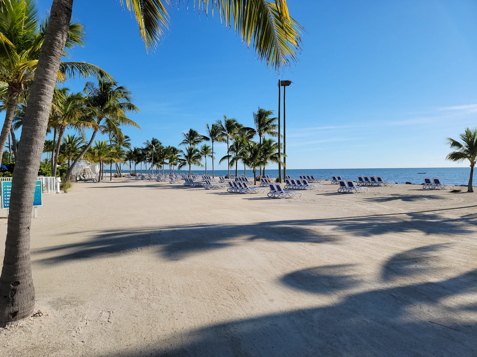 Islamorada, Florida photo 12 by Frank Thiemonge