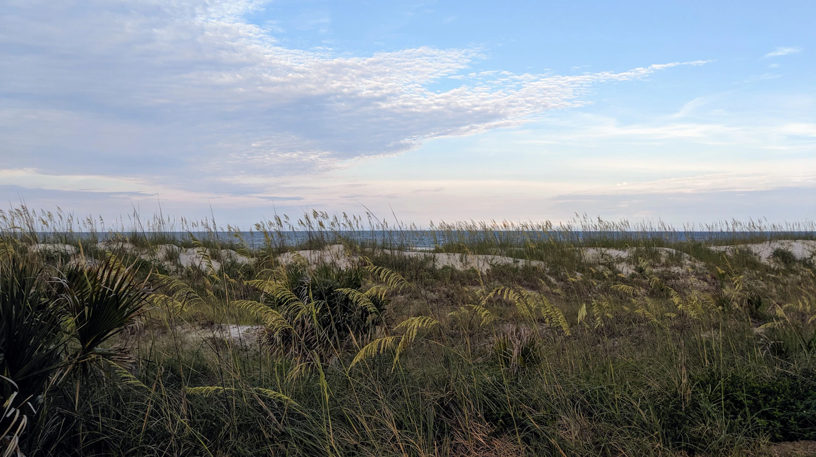 Jacksonville, Florida photo 21 by Nick Freiling