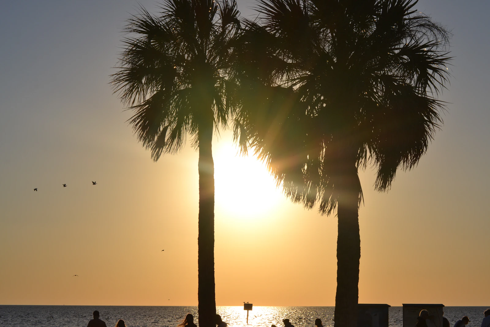 Jacksonville, Florida photo 30 by Meadow Marie
