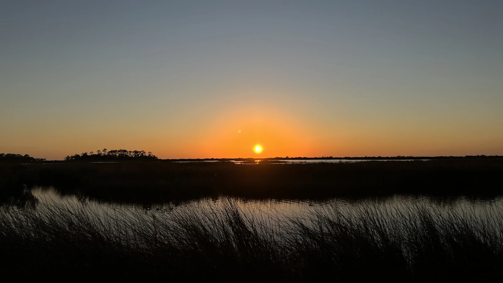 Jacksonville, Florida photo 29 by Meadow Marie