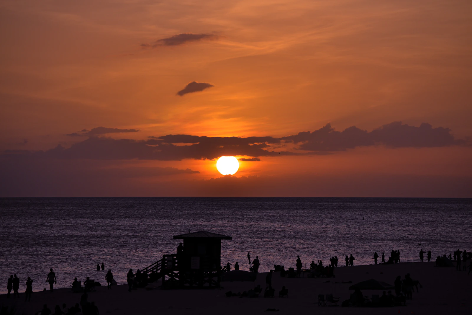 Jacksonville, Florida photo 26 by Meadow Marie