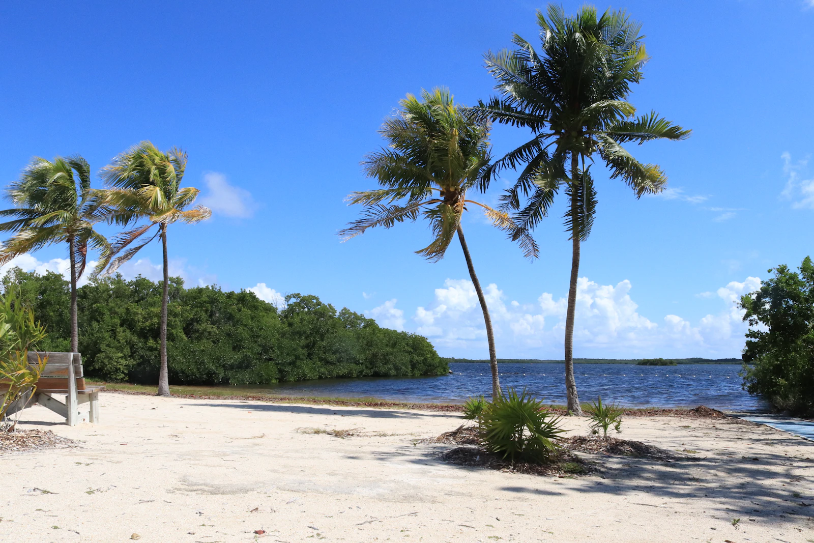 Key Largo, Florida photo 26 by Emmanuelle Marcade