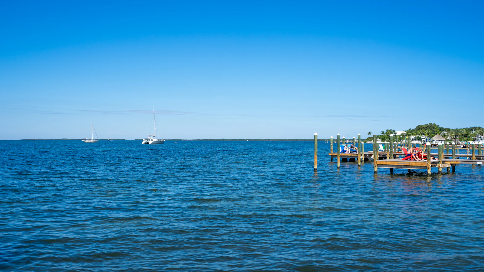 Key Largo, Florida photo 13 by Yuhan Du