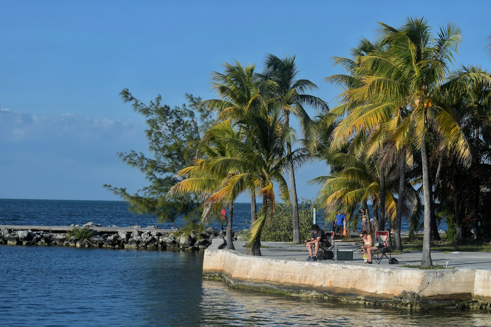 Key Largo, Florida photo 10 by Praswin Prakashan