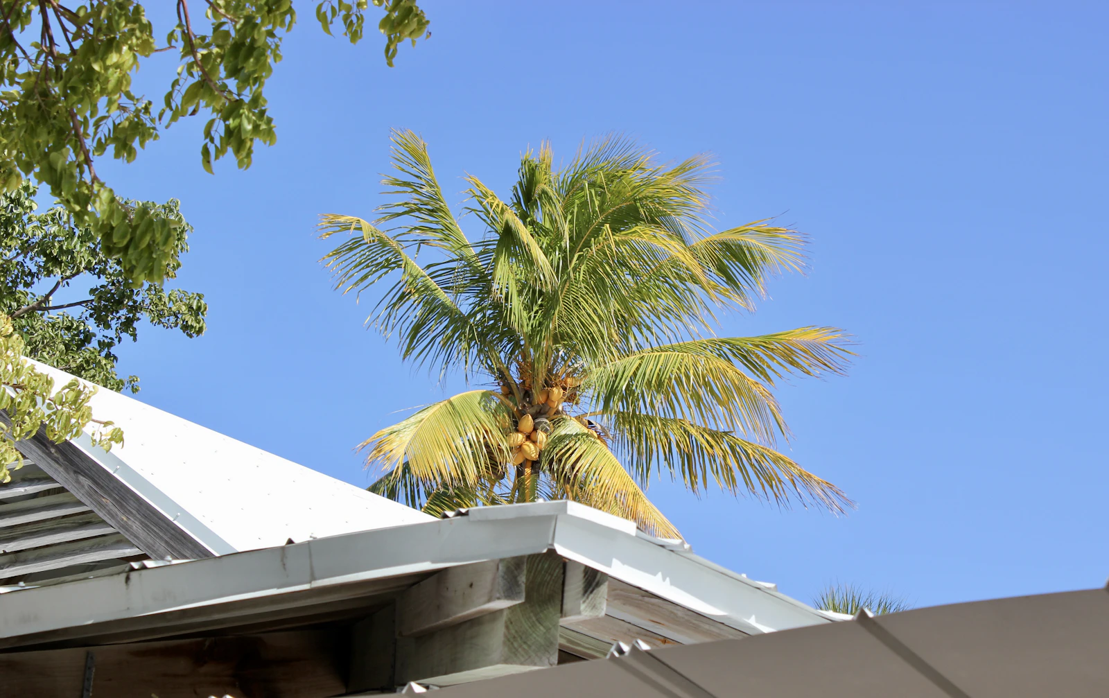 Key Largo, Florida photo 23 by Aarya