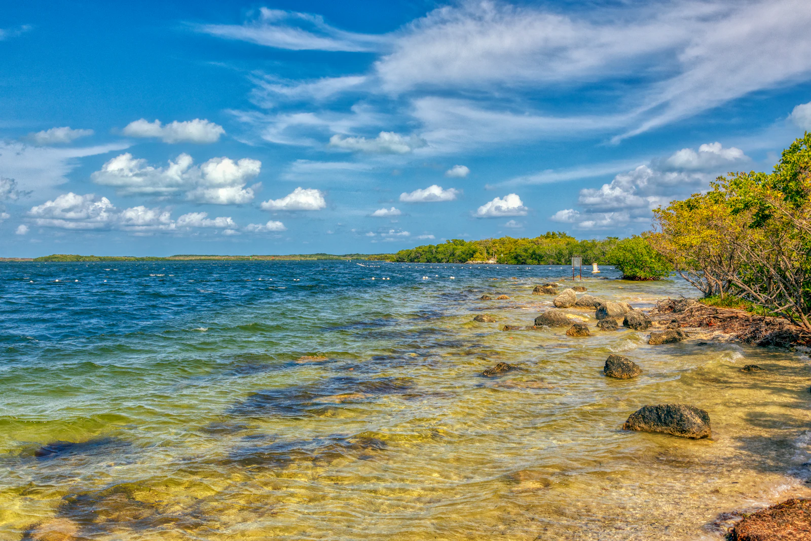 Key Largo, Florida photo 6 by Charles Jackson