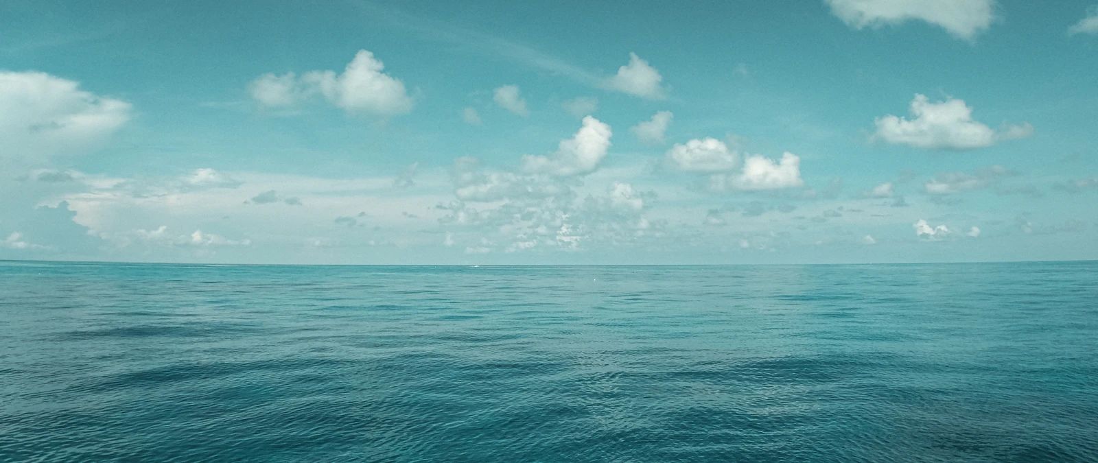 Key Largo, Florida photo 16 by Christian Ochoa