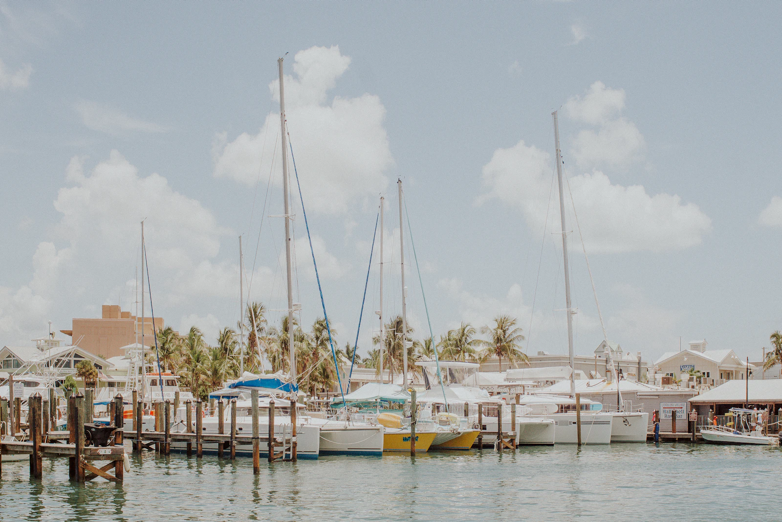 Key West, Florida photo 10 by Amber Kipp