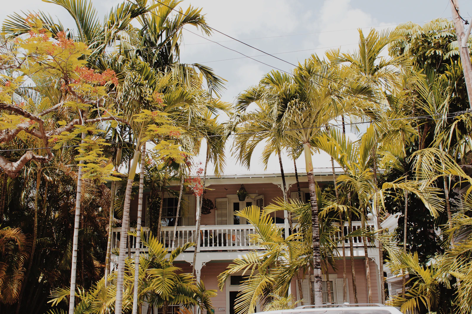 Key West, Florida photo 20 by Meg Jenson